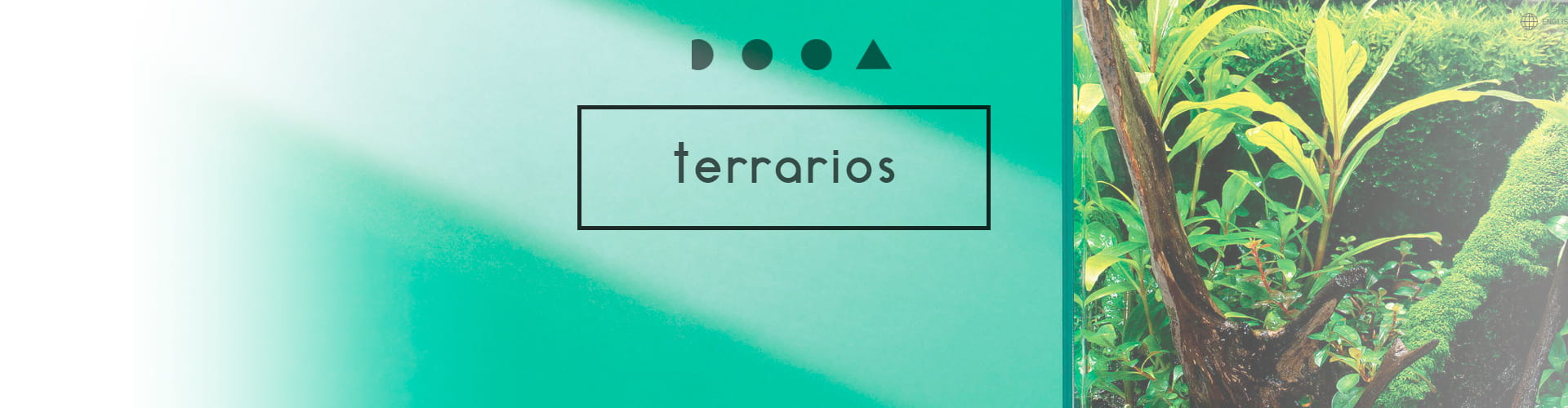 dooa categoría terrarios