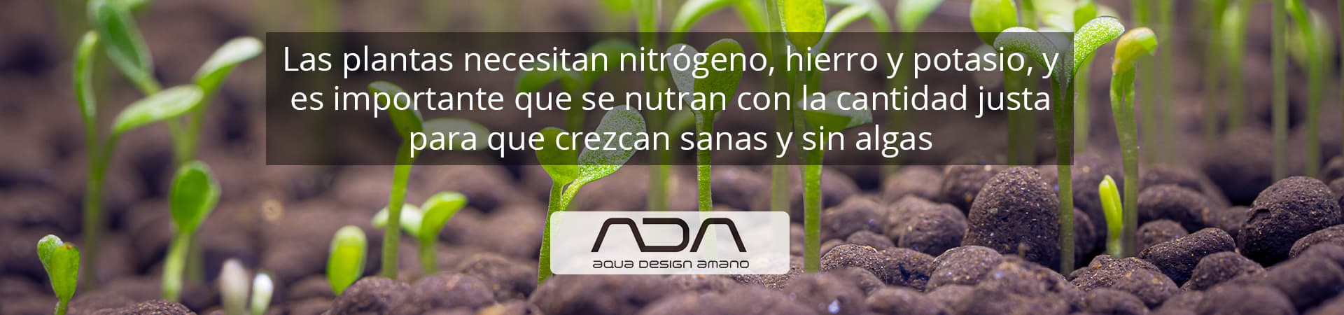 ADA FERTILIZANTES Y ADITIVOS | NAscapers