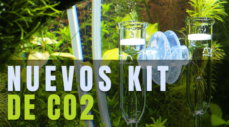 ▷ Nuevos Kits de CO2 para acuarios plantados Online