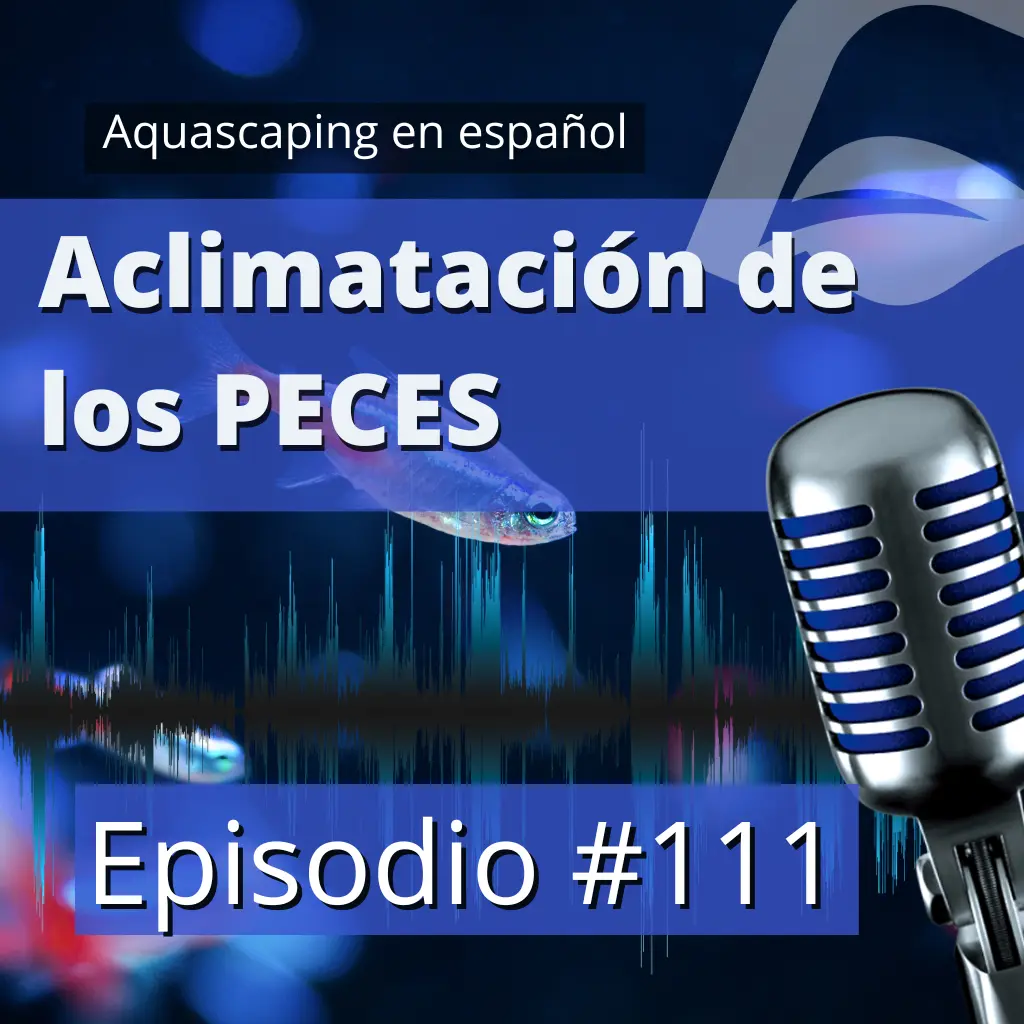 Pódcast aclimatación de los peces al acuario