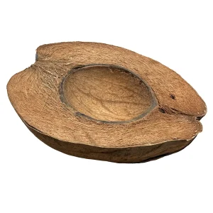 Natural Coconut XL