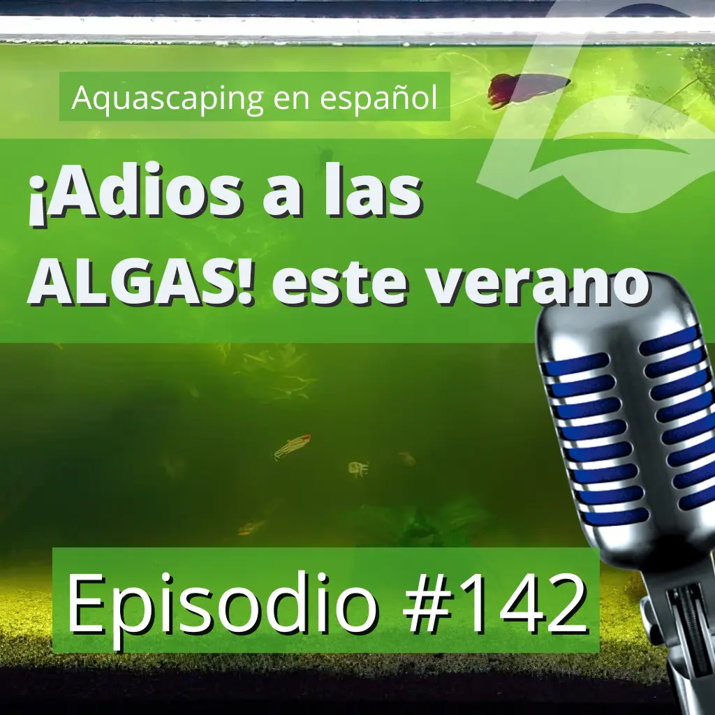 Episodio #142: ¡Adiós a las Algas! Consejos Esenciales para Mantener bajo control las algas este Verano