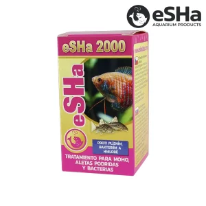 eSHa 2000