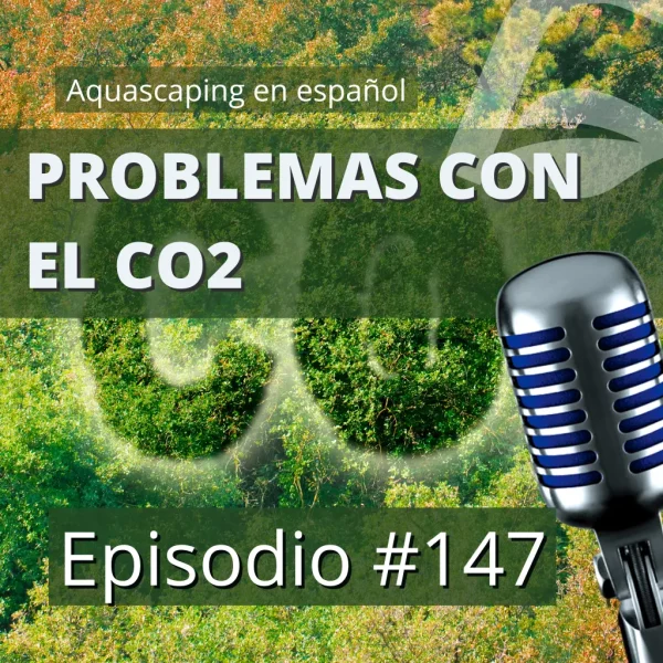 Pódcast Problemas con el CO2 en el acuario