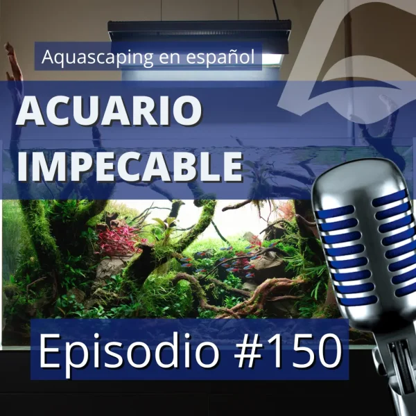 acuario impecable nascapers