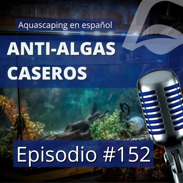 podcast 152 anti-algas caseros