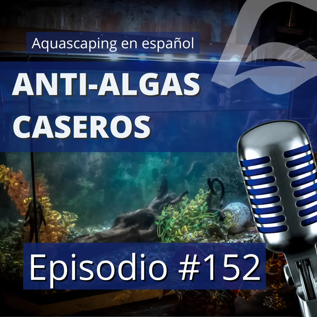 Episodio #152: Anti-algas caseros