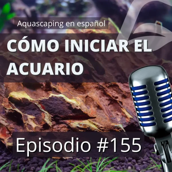 Pódcast episodio 155 cómo iniciar el acuario. Guía para principiantes.