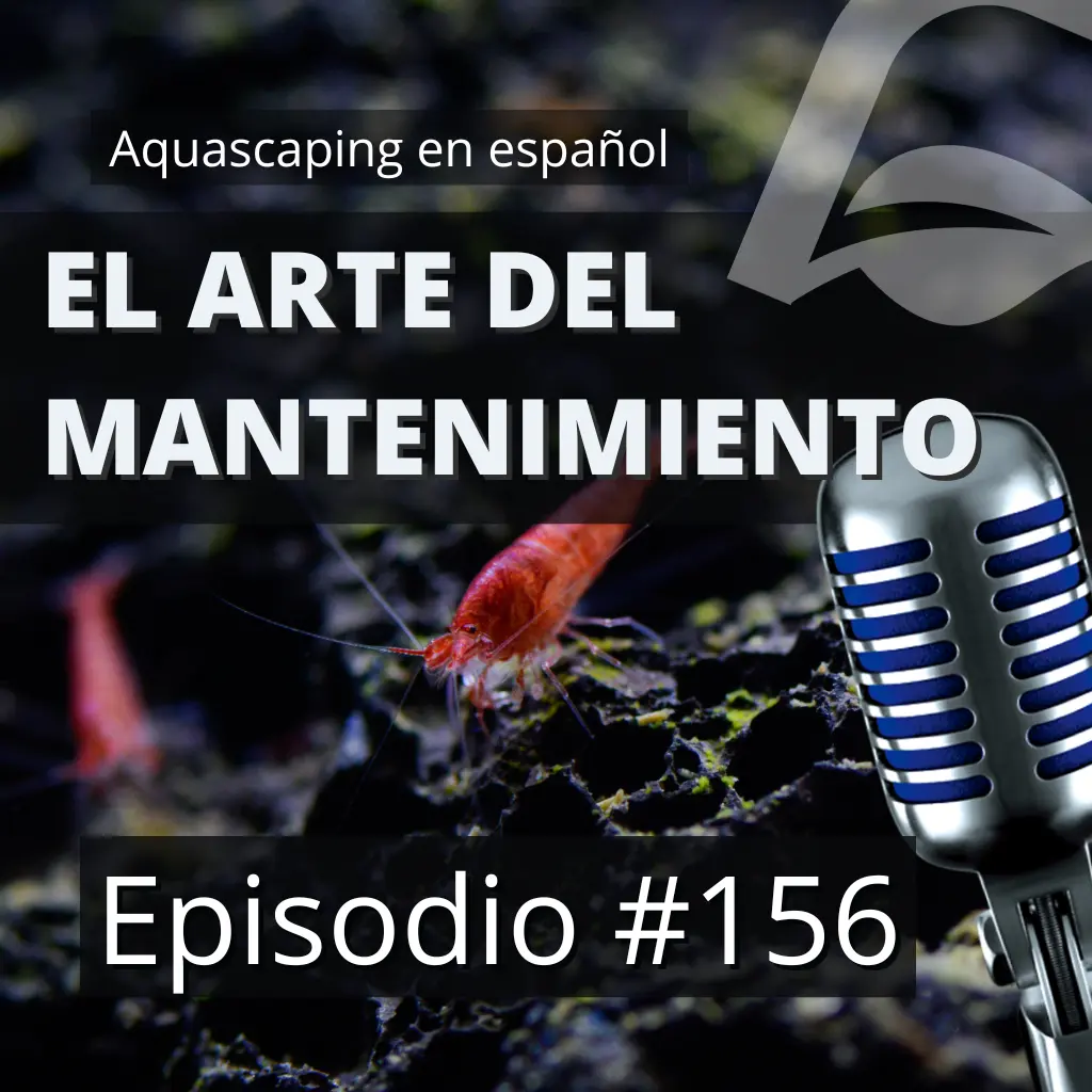 Episodio #156: El arte de mantener un acuario