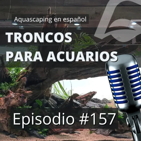 Podcast 157 troncos para acuarios