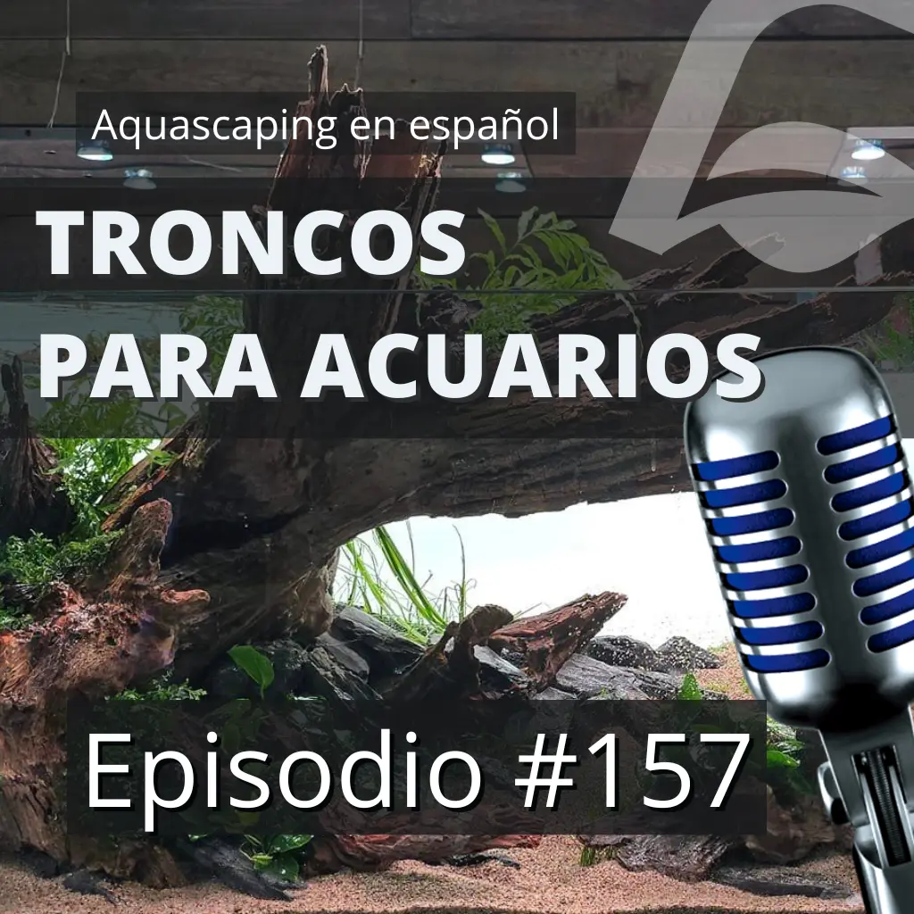 Episodio #157: Guía completa sobre troncos para acuarios