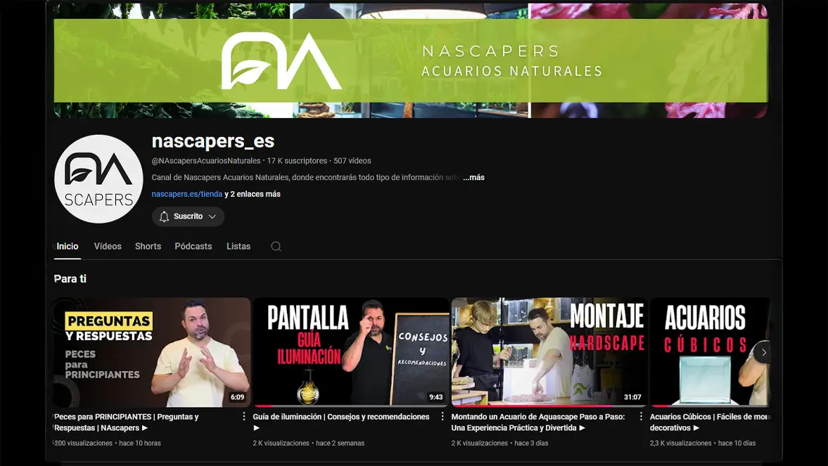 Canal de Youtube de nascapers.es