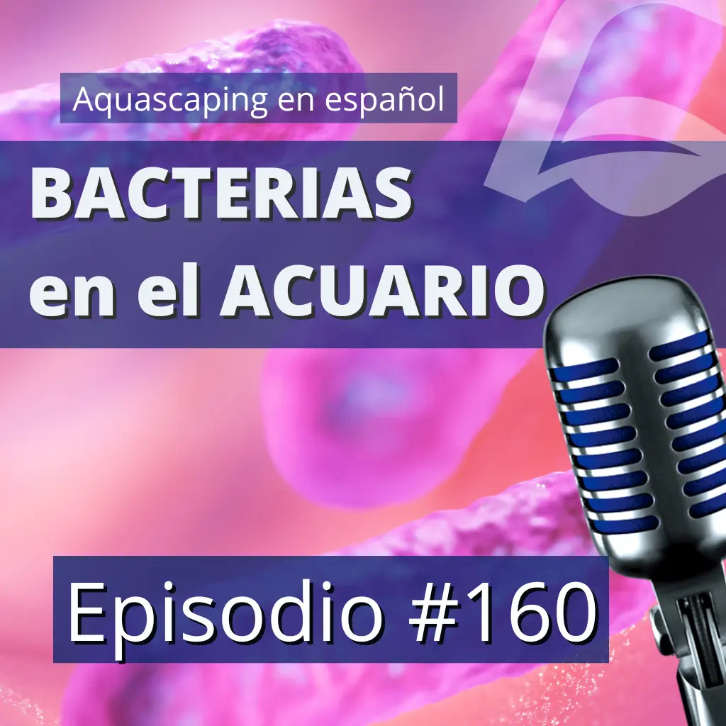 Episodio #160 | La importancia de las bacterias en el acuario