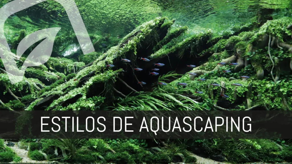 Estilos de Aquascaping.