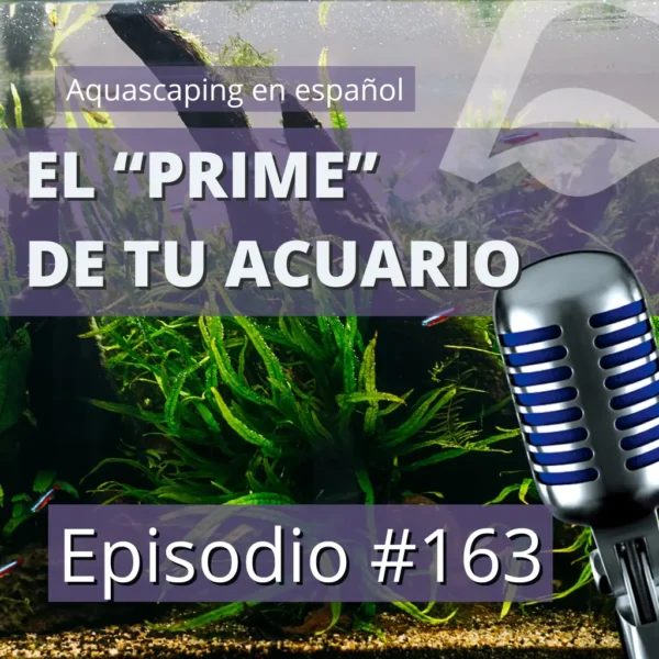 aquascaping en español